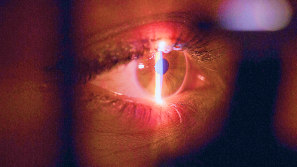 Privacy for Profit: Why Biometric Incentives Deserve Scrutiny (World App Controversy) 