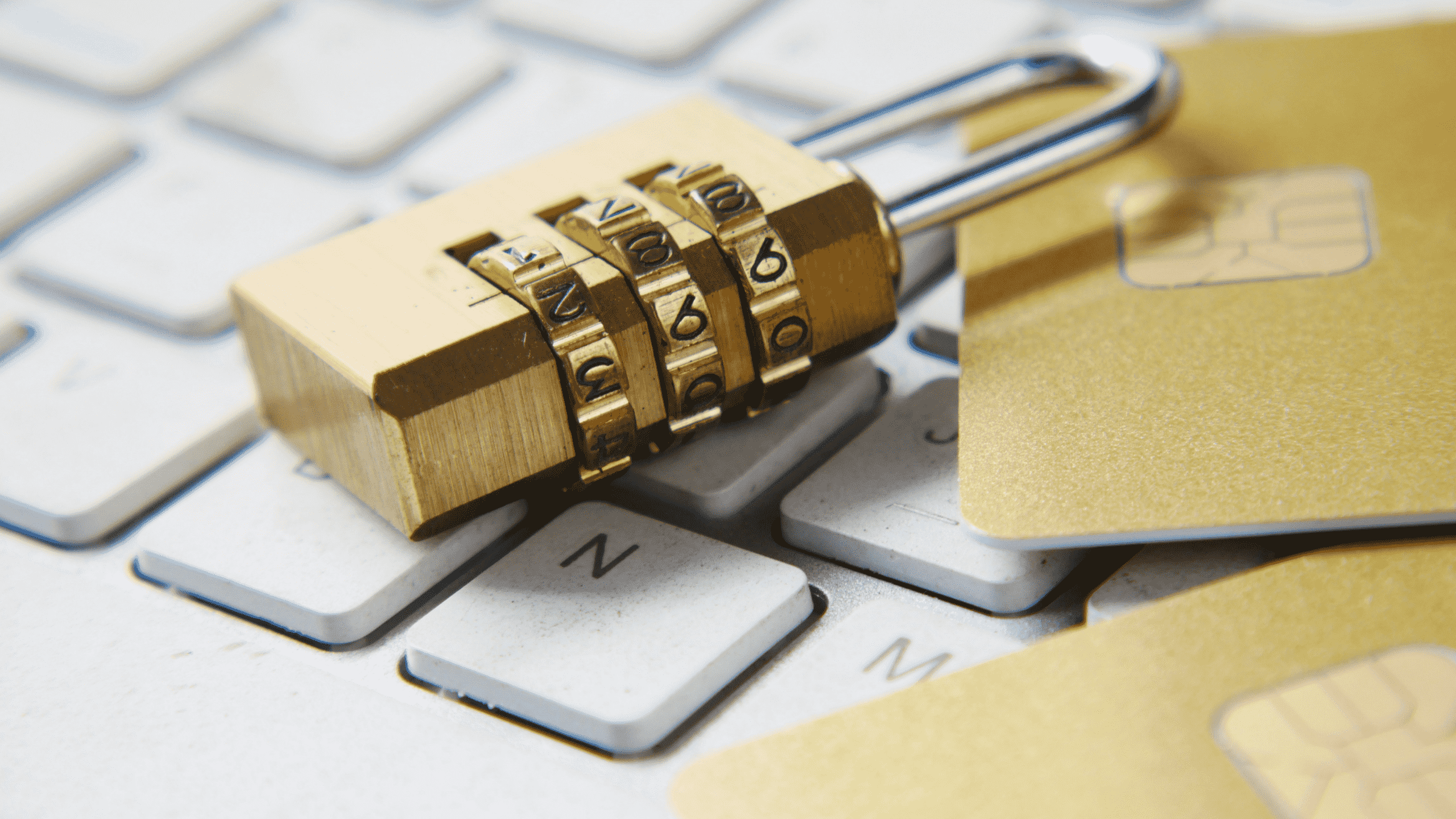 Who Could Be the Data Protection Officer?